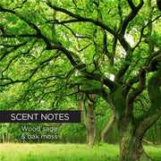 whish beauty Shave Cream - Whish Golf Club Body Care > Hair Removal > Shave Cream