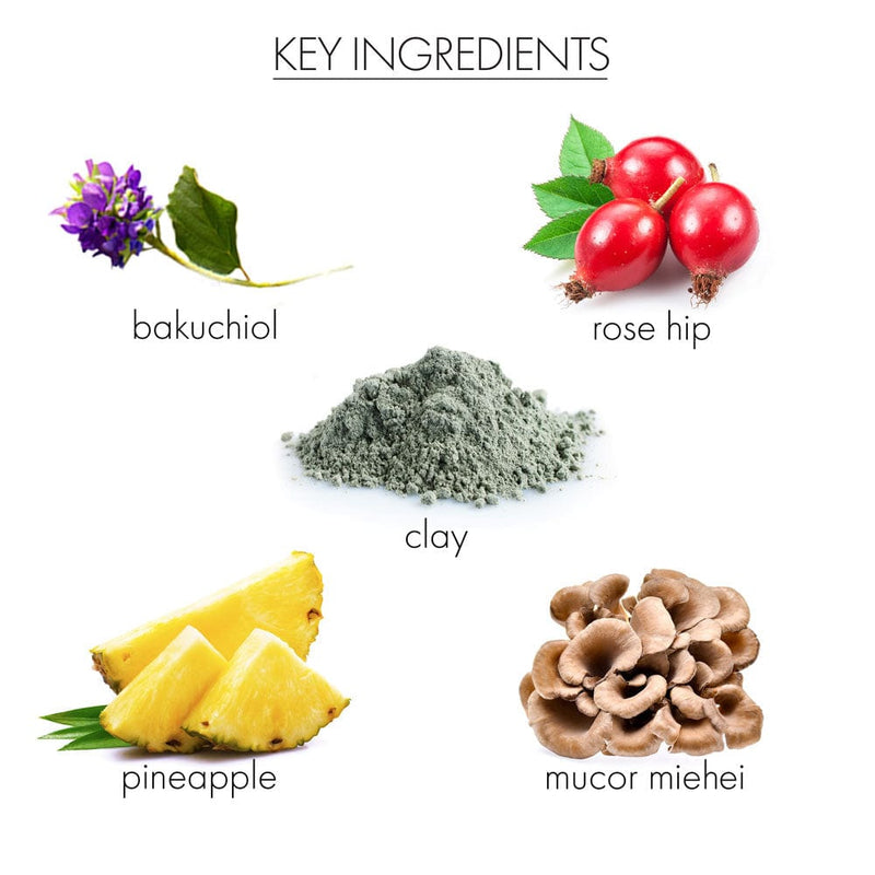 whish beauty Renewing Mud Mask with Bakuchiol Skin Care > Masks > Mud Mask