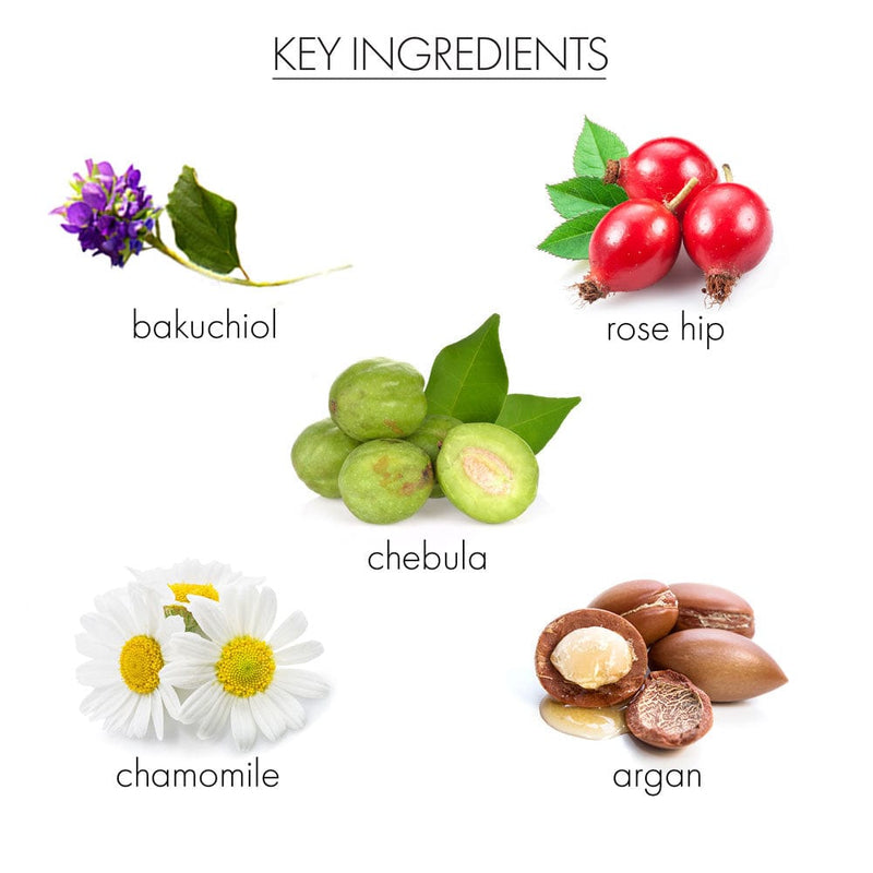 whish beauty Recovering Night Cream with Bakuchiol Skin Care > Moisturizers
