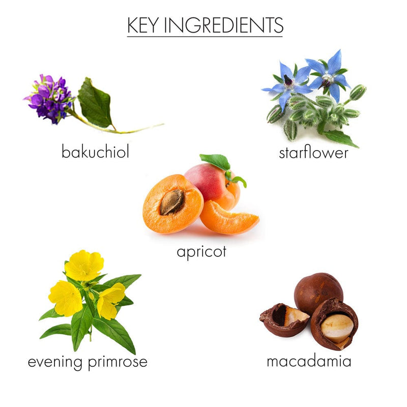 whish beauty Restoring Face Oil with Bakuchiol Skin Care > Moisturizers