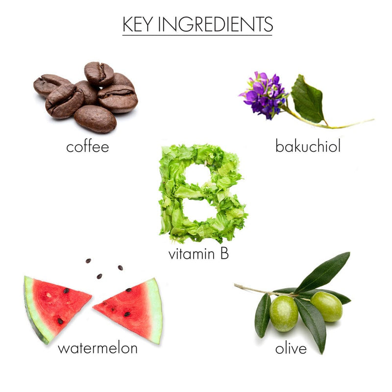 whish beauty Super Cream with Bakuchiol Skin Care > Moisturizers