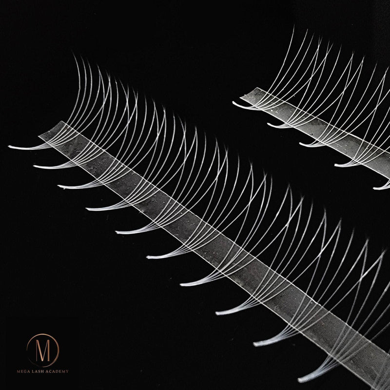 Mega Lash Academy White 5D Rapid Promade Fans - 600 Fans Promade Fans