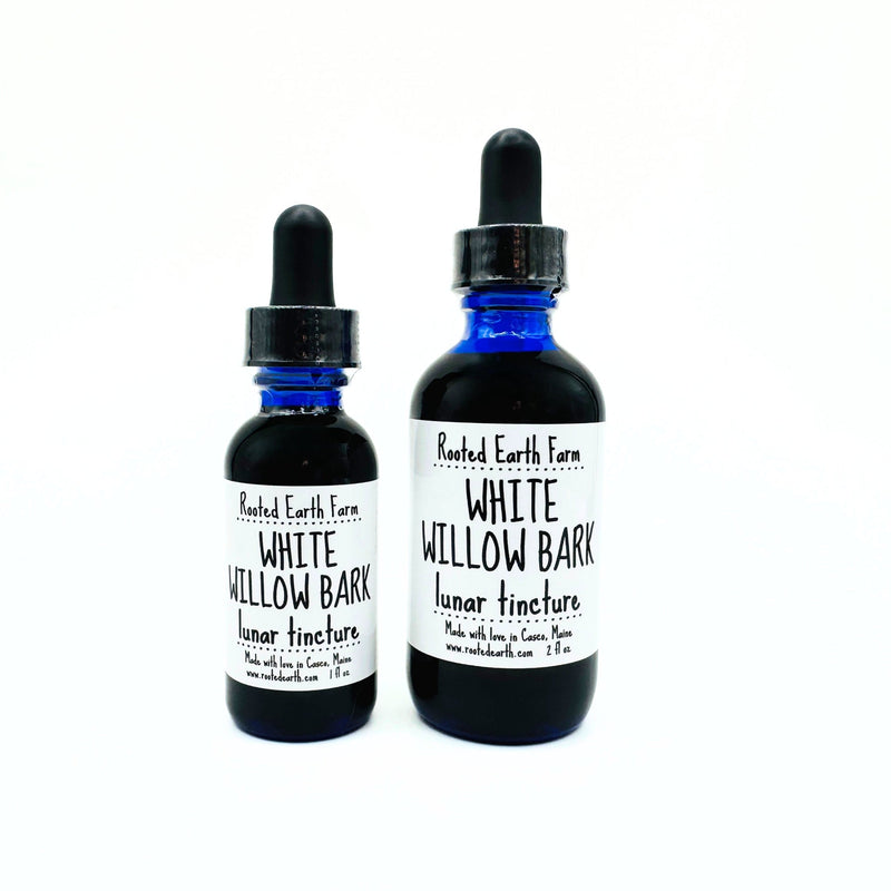 Rooted Earth Farm + Apothecary White Willow Bark Tincture Tinctures + Capsules