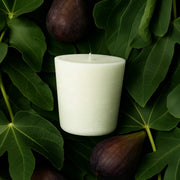Element Brooklyn Wicked Ficus Candle Refill Candle Refills