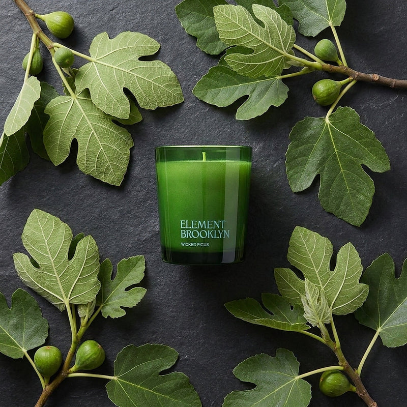 Wicked Ficus Candle
