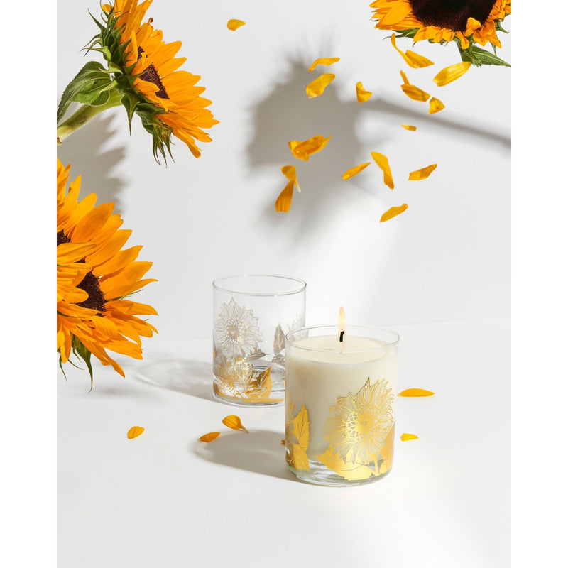 Wax Buffalo Wildflower