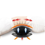 GNS Beauty & Personal Care Wilton Professional Lower Back Stretcher and Massager with Heat Health