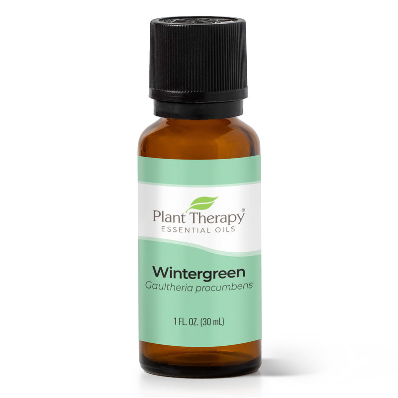Plant Therapy Wintergreen Essential Oil Essential Oil