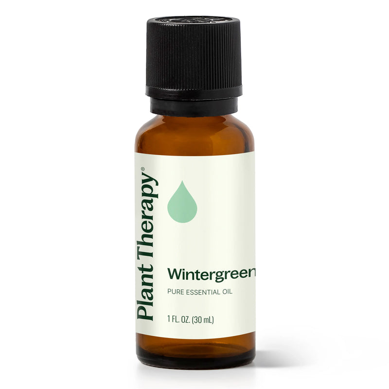 Plant Therapy Wintergreen Essential Oil Essential Oil