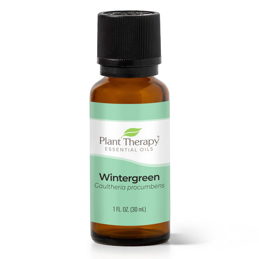Plant Therapy Wintergreen Essential Oil Essential Oil