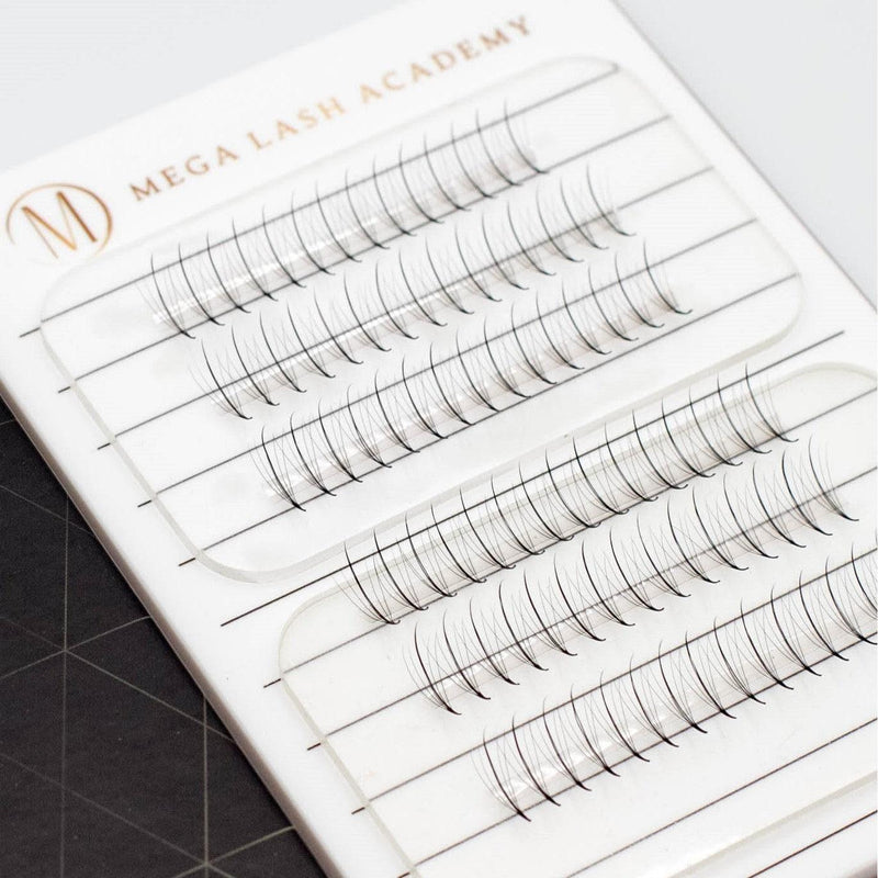 Mega Lash Academy Wispy 5D Mix Rapid Promade Fans - 600 Fans Promade Fans