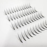 Mega Lash Academy Wispy 7D Mix Rapid Promade Fans - 600 Fans Promade Fans