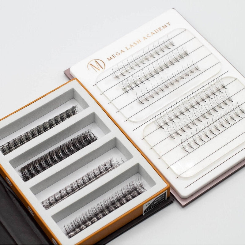 Mega Lash Academy Wispy 9D Mix Rapid Promade Fans - 600 Fans Promade Fans