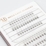 Mega Lash Academy Wispy 9D Rapid Promade Fans - 500 Fans Promade Fans