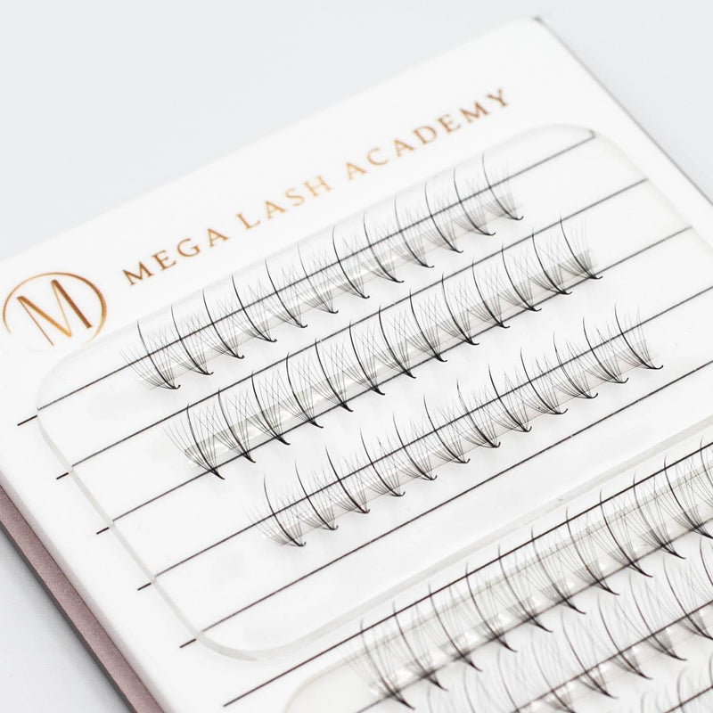 Mega Lash Academy Wispy 9D Rapid Promade Fans - 500 Fans Promade Fans