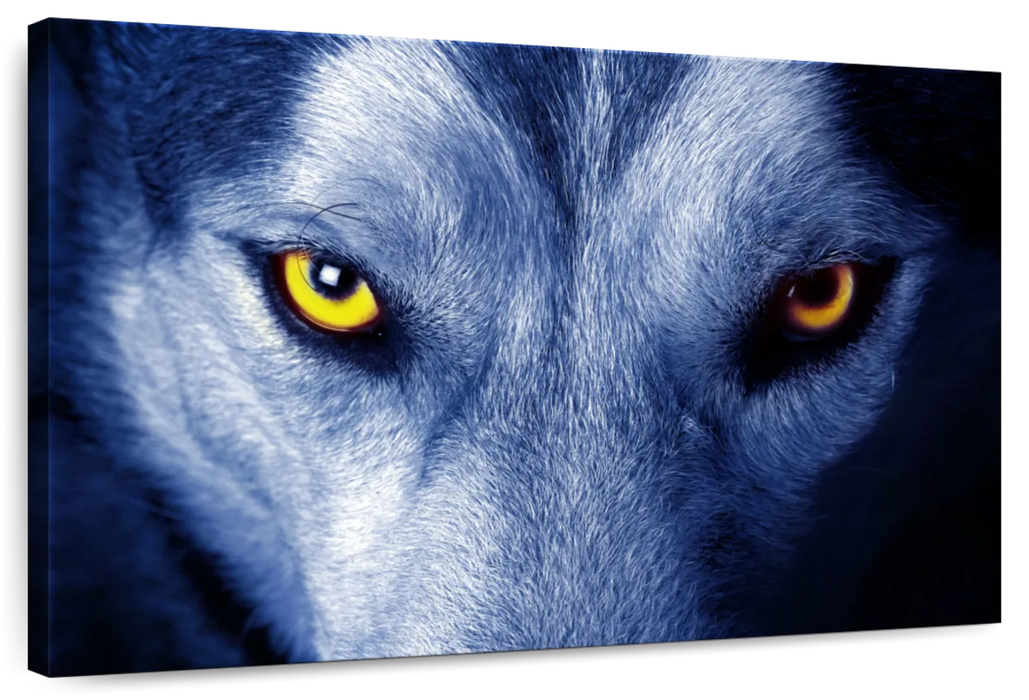 Mystic Wolf Eyes Wall Art