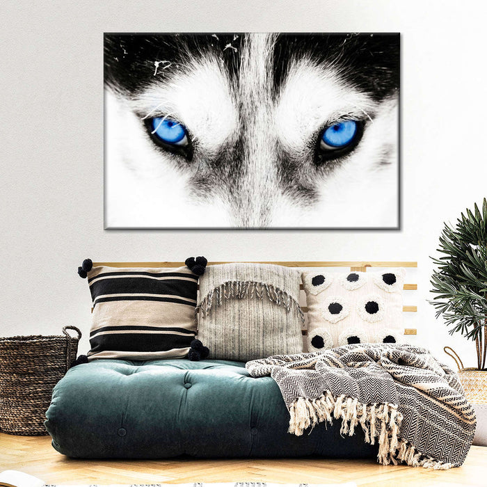 Husky's Eyes Wall Art