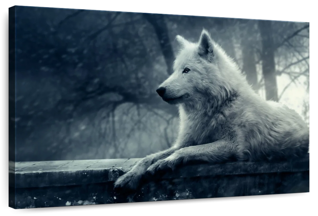 Arctic Wolf Wall Art