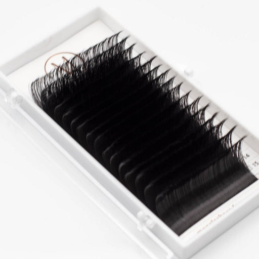 Mega Lash Academy - Xtreme Volume Lash Tray