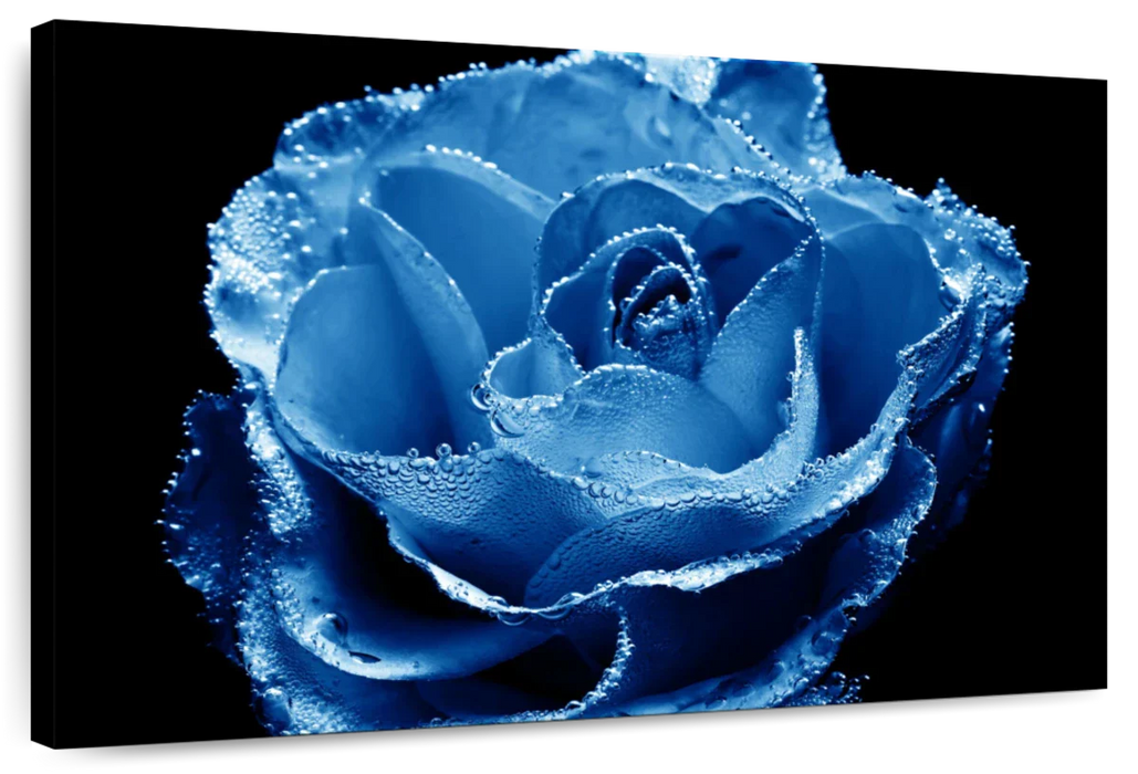 Misty Blue Rose Wall Art