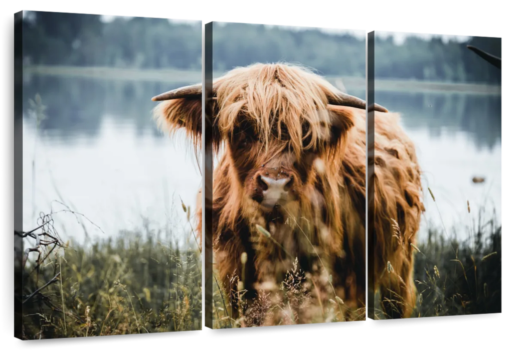 Lakeside Highland Cow Wall Art