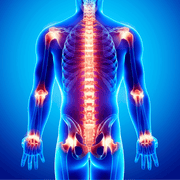 ZAQ Skin & Body REVA Multifunctional Infrared Heat, PEMF  Belt for Enhanced Wellness and Relaxation