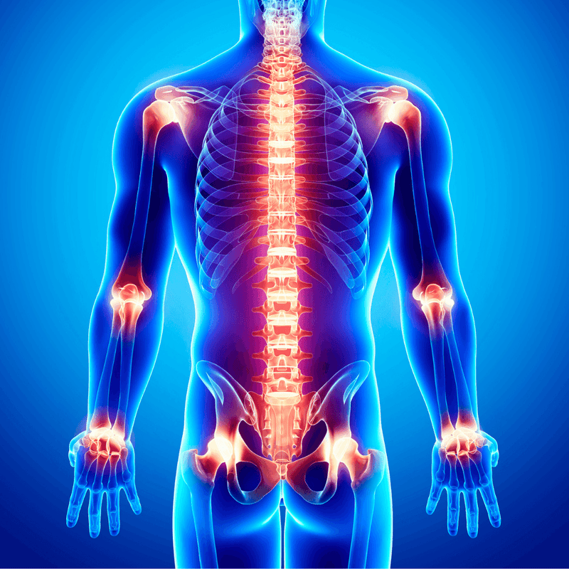 ZAQ Skin & Body REVA Multifunctional Infrared Heat, PEMF  Belt for Enhanced Wellness and Relaxation