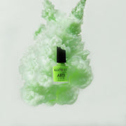 nbmsupply KOMILFO ARTILUX 033 NAIL REGULAR POLISH(NOT A GEL)(MINT, ENAMEL), 8 ML 222033