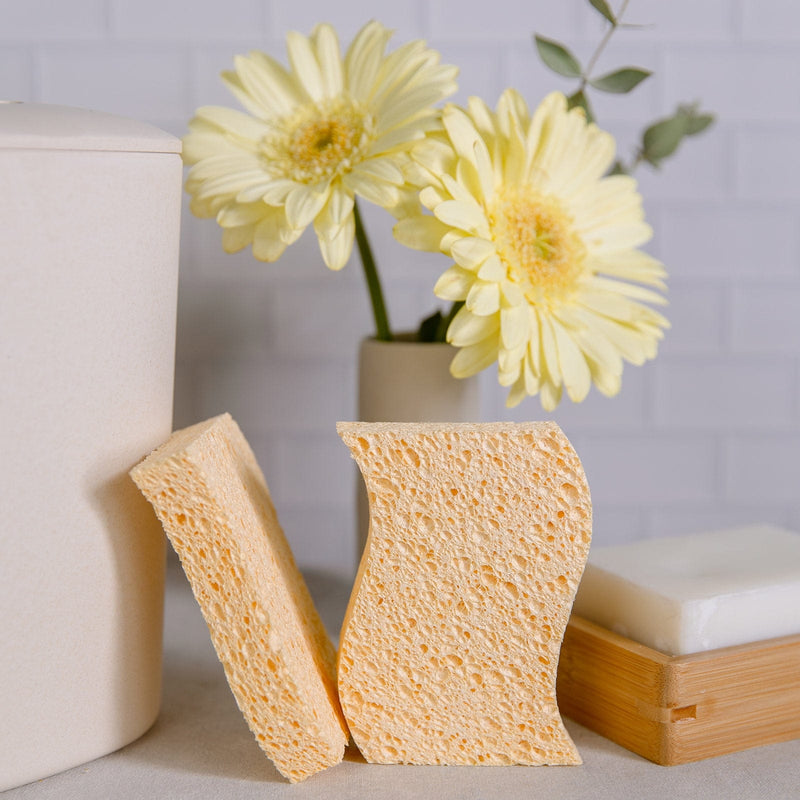 ZeroWasteStore.com Cellulose Kitchen Sponges Household Cleaning Supplies