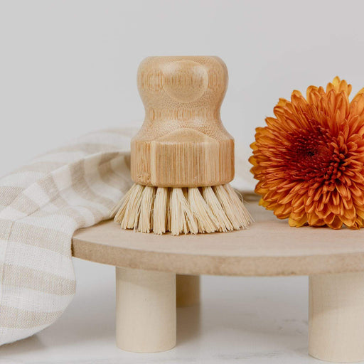 ZeroWasteStore.com Dish Brush Scrub Brushes
