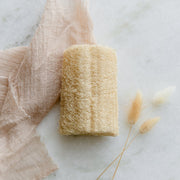 ZeroWasteStore.com Loofah Sponge Pack Bath Sponges & Loofahs