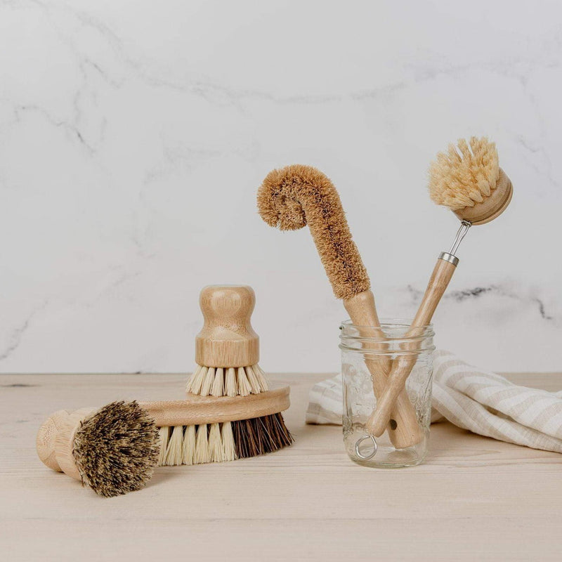 ZeroWasteStore.com Zero Waste Dish Brush Kit Scrub Brushes