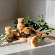 ZeroWasteStore.com Zero Waste Dish Brush Kit Scrub Brushes