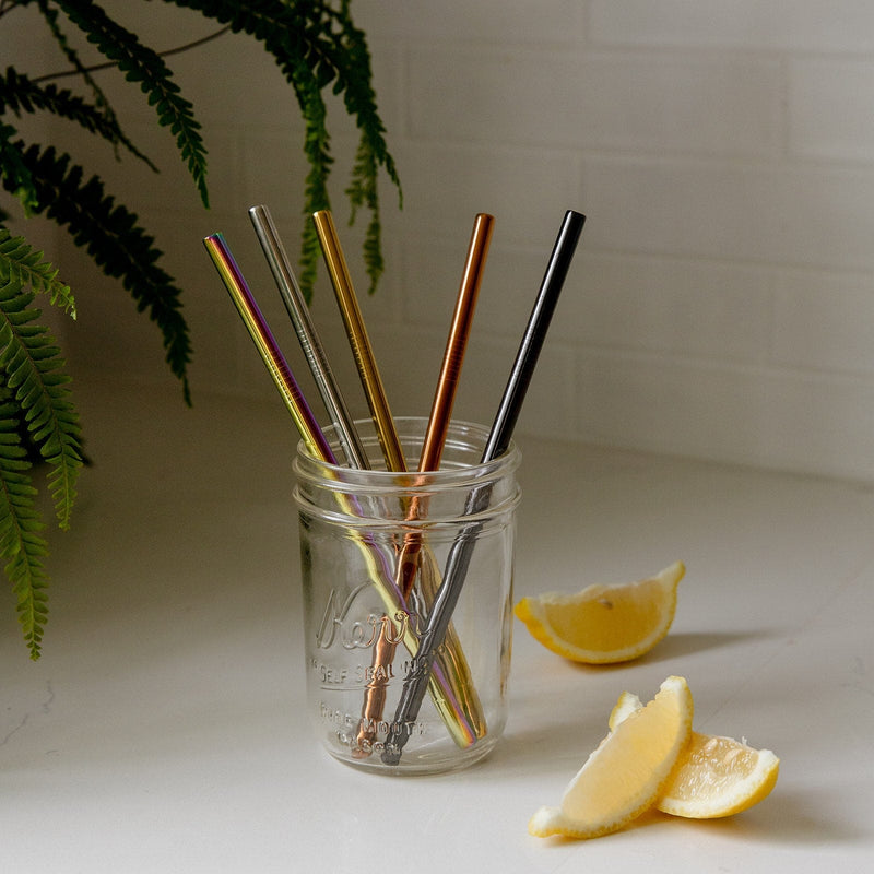 ZeroWasteStore.com Stainless Steel Straw - Straight, Bent, or Boba Style Drinking Straws & Stirrers