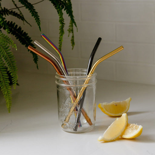 ZeroWasteStore.com Stainless Steel Straw - Straight, Bent, or Boba Style Drinking Straws & Stirrers