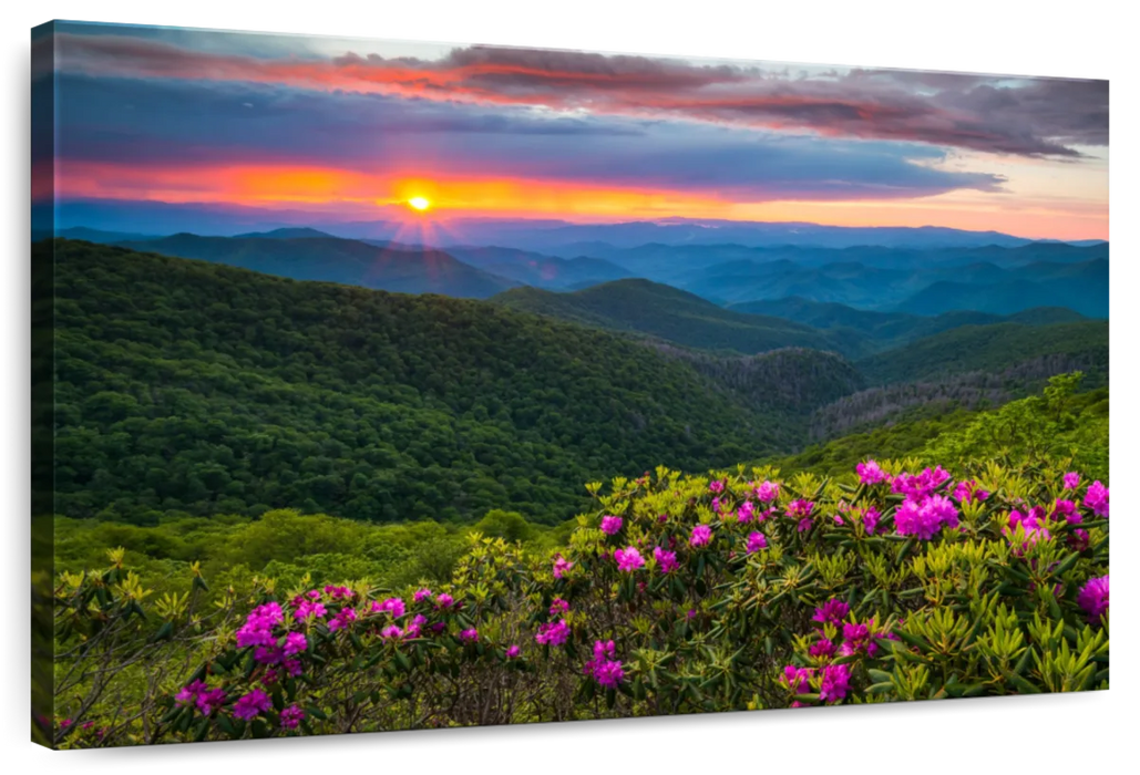 Blue Ridge Flowers Wall Art