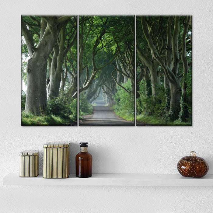 Dark Hedges Wall Art