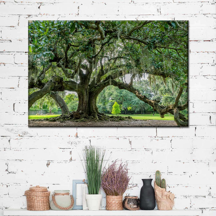 Audubon Park Oak Tree Wall Art