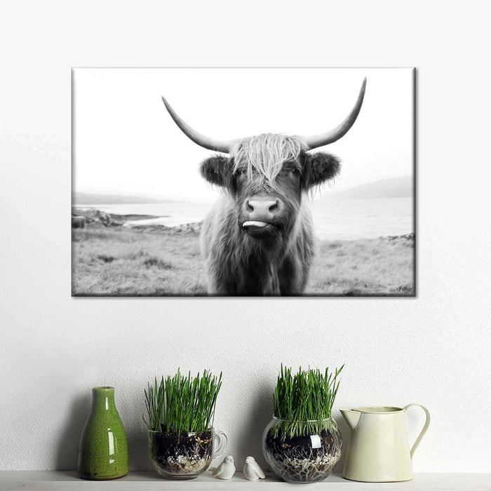 Funny Highland Cow Wall Art