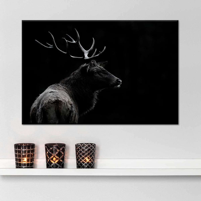 Monochrome Bull Elk Wall Art