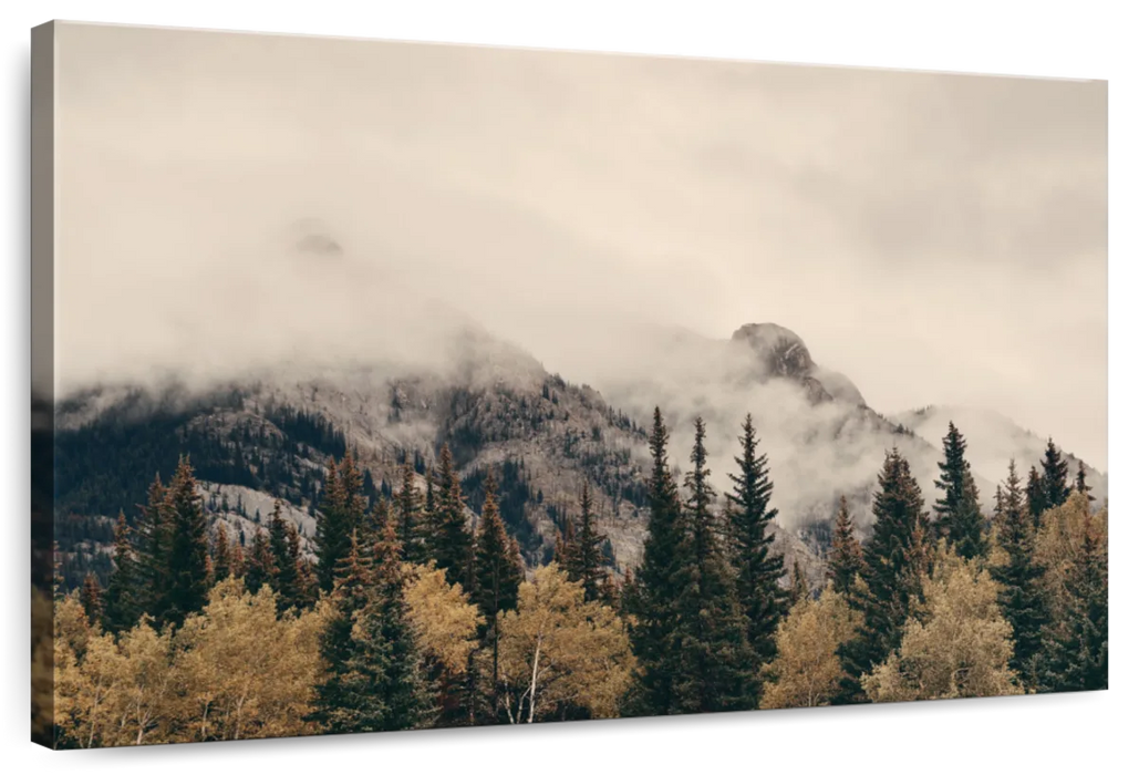 Foggy Banff National Park Wall Art