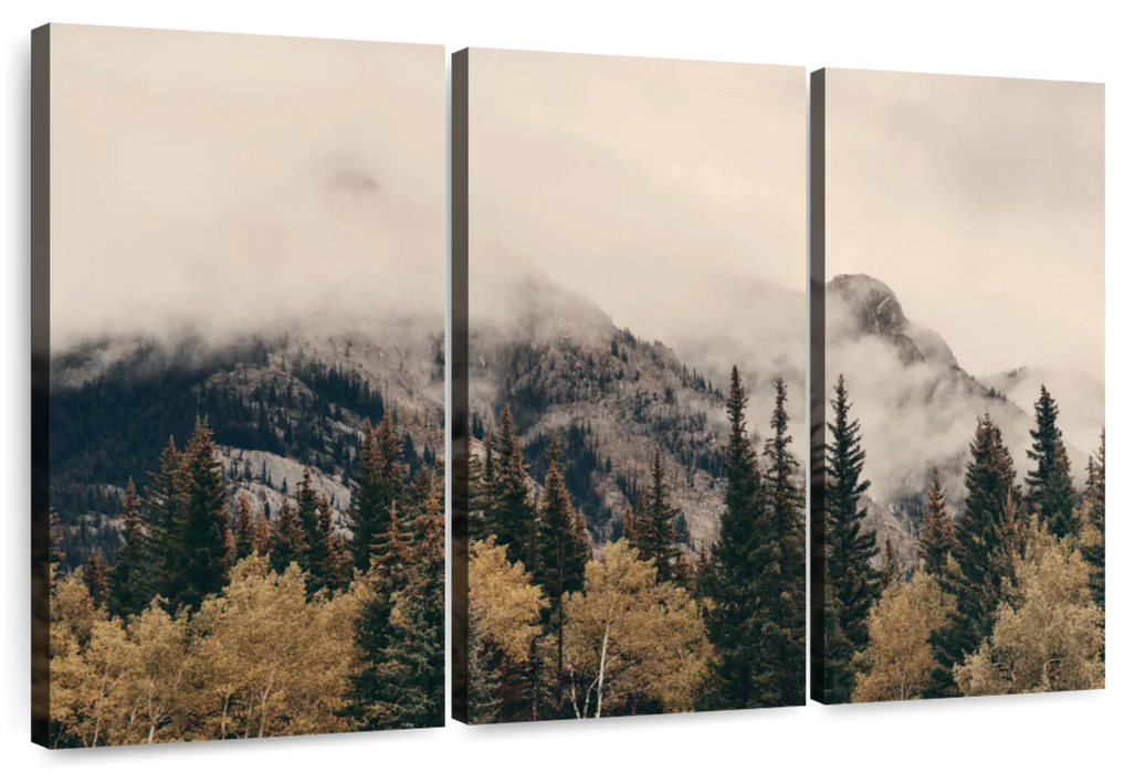 Foggy Banff National Park Wall Art