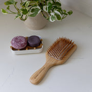 ZeroWasteStore.com Bamboo Hair Brush Combs & Brushes