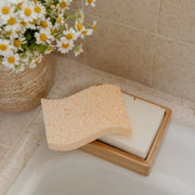 ZeroWasteStore.com Cellulose Kitchen Sponges Household Cleaning Supplies