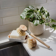ZeroWasteStore.com Long Handle Dish Brush Scrub Brushes