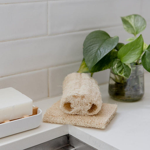 ZeroWasteStore.com Loofah Sponge Pack Bath Sponges & Loofahs