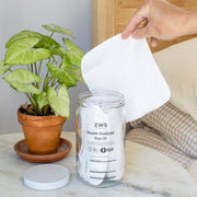 ZeroWasteStore.com Reusable Disinfectant Wipes - DIY Kit Household Cleaning Supplies