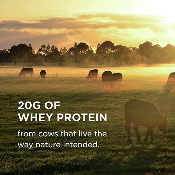 Solgar Grass Fed Whey To Go Unflavored Protein Powder 2.3lb