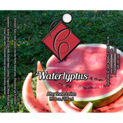 Catie's Bubbles Catie's Bubbles Waterlyptus Shaving Collection Shaving Set